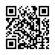 QR:树牢正确政绩观，持续整治形式主义为基层减负