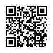 QR:习近平同斯洛伐克总统佩列格里尼会谈