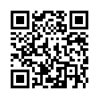 QR:河西街道人大开展聚焦高质量发展集中视察活动