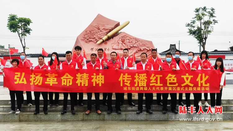 城东街道人大组织开展沉浸式主题党建活动2