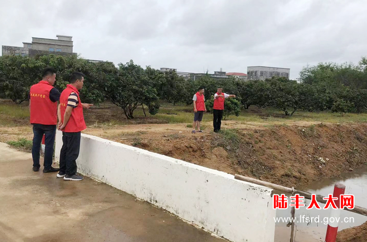 张厝村活动4
