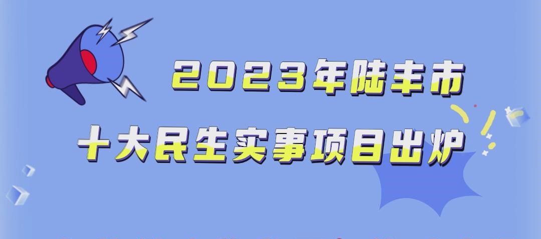 十大民生实事
