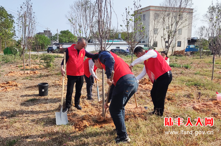 甲西博社3月植树活动1