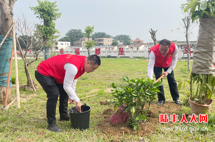 潭西镇人大开展“更好发挥人大代表作用主题活动1