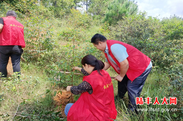 西南陂屯村3月活动1