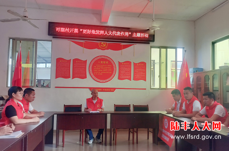 可湖村7月人大开展更好发挥人大代表作用主题活动2