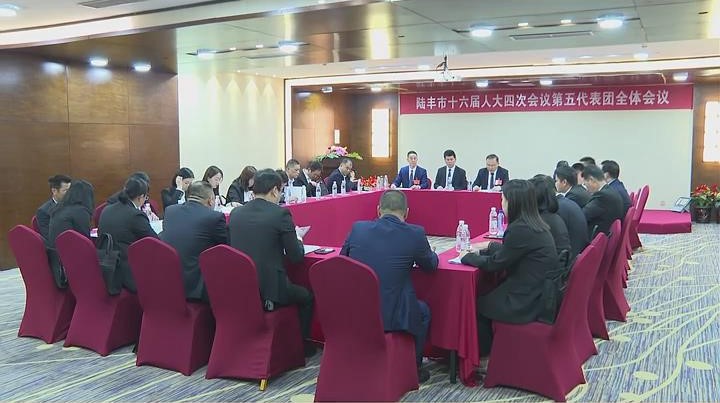 融媒视频号图1-市人大代表分团讨论大会工作报告