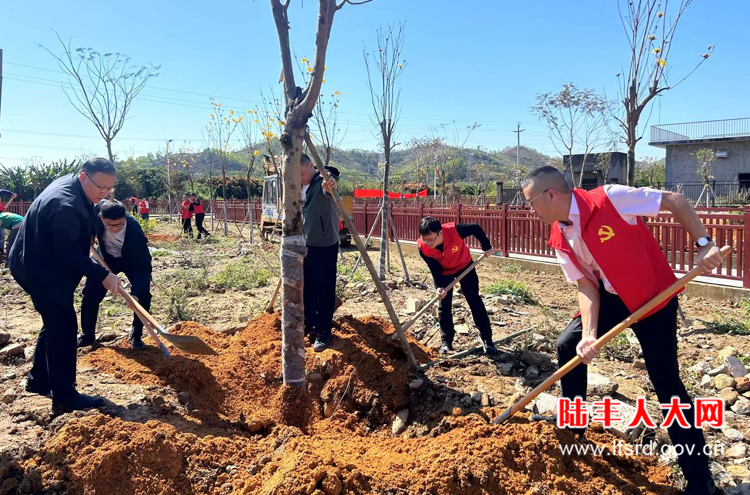 陂洋3月份活动1