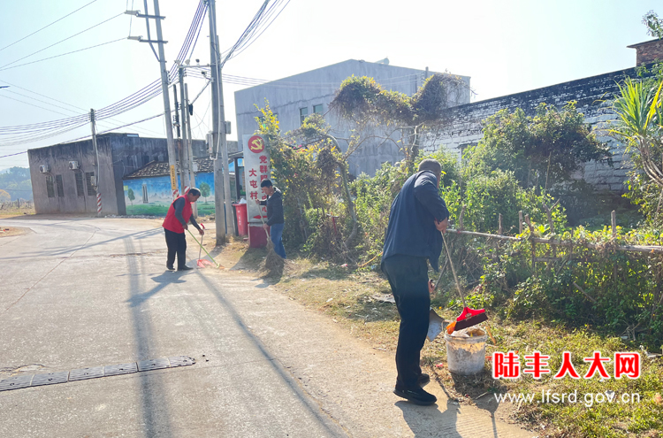 河东大屯2025一月活动1