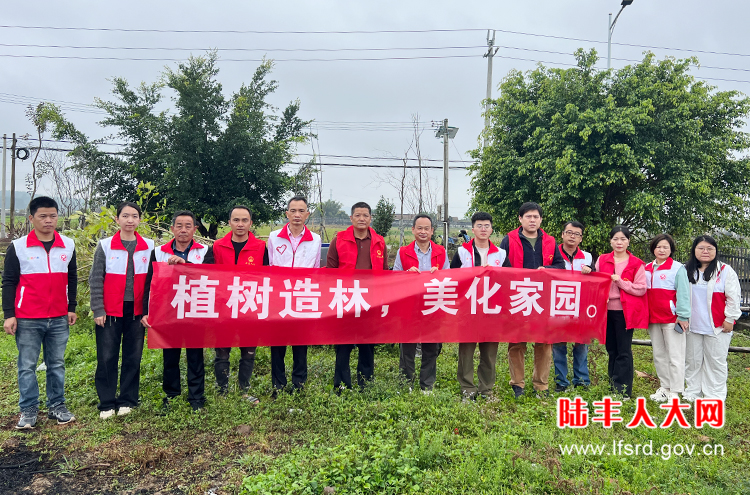 河东大屯2025二月活动1