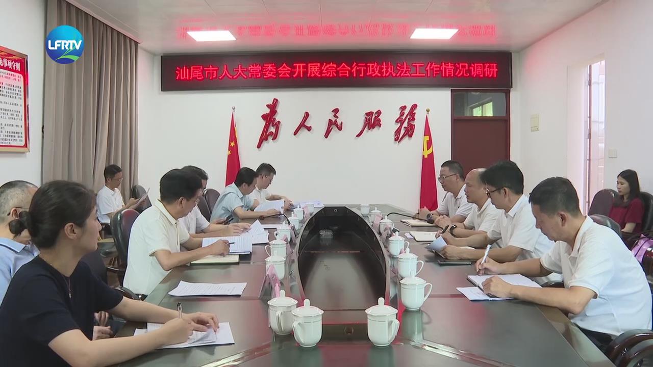 吴城鑫到陆丰市调研综合行政执法工作情况-1