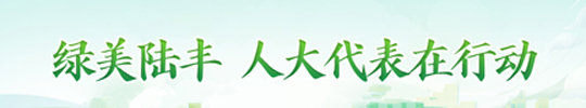 绿美陆丰