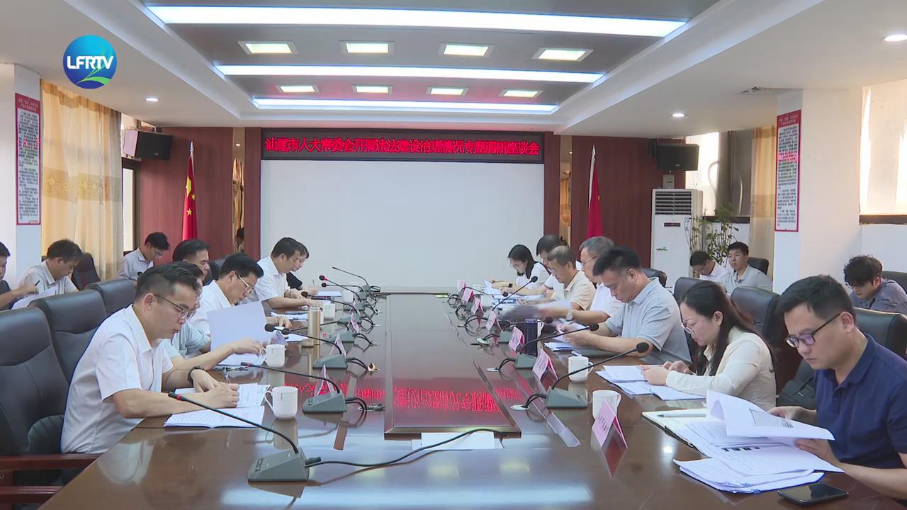 黄宏伟率队到陆丰开展违法建设治理情况专题调研-1