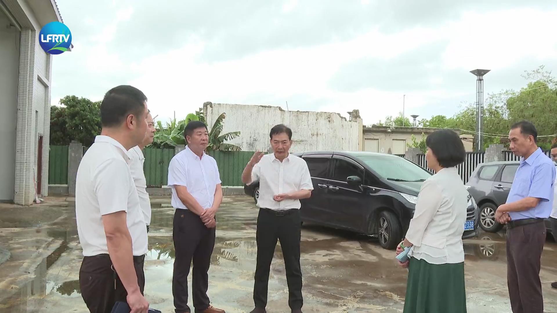 林军到陆丰市督导检查“百千万工程”典型镇村建设工作-1