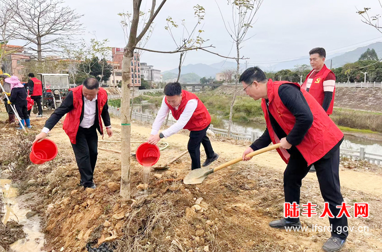 八万2025二月活动1