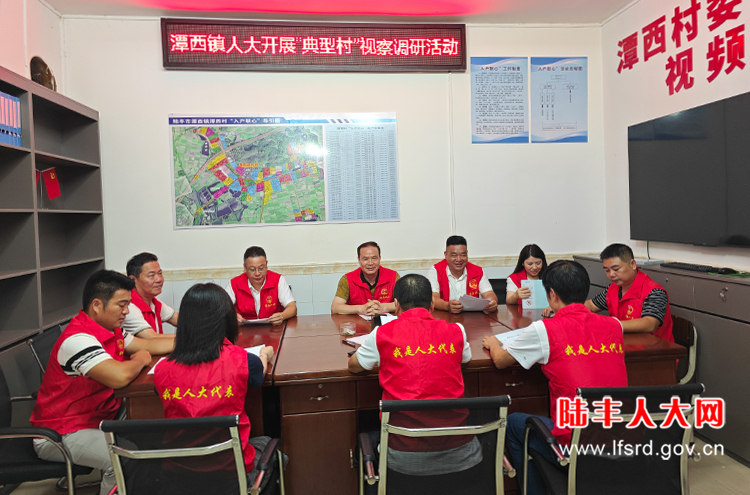 潭西2025七月活动2