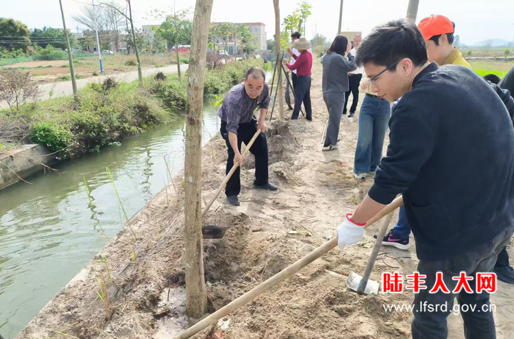 上英半埔2025二月活动2