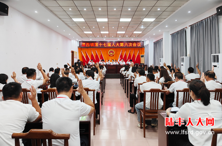 潭西2025八月人代会1