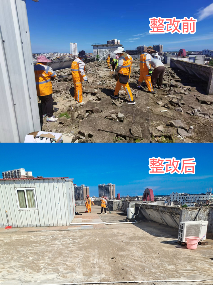 3人大代表积极投身防灭蚊工作 多措并举筑牢群众健康防线