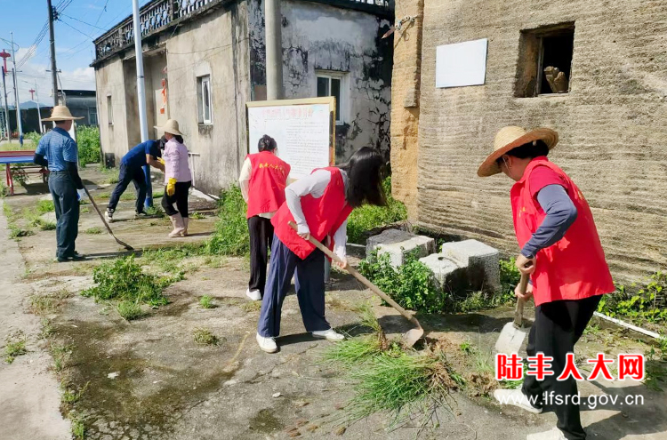 内湖2025八月人居环境活动1