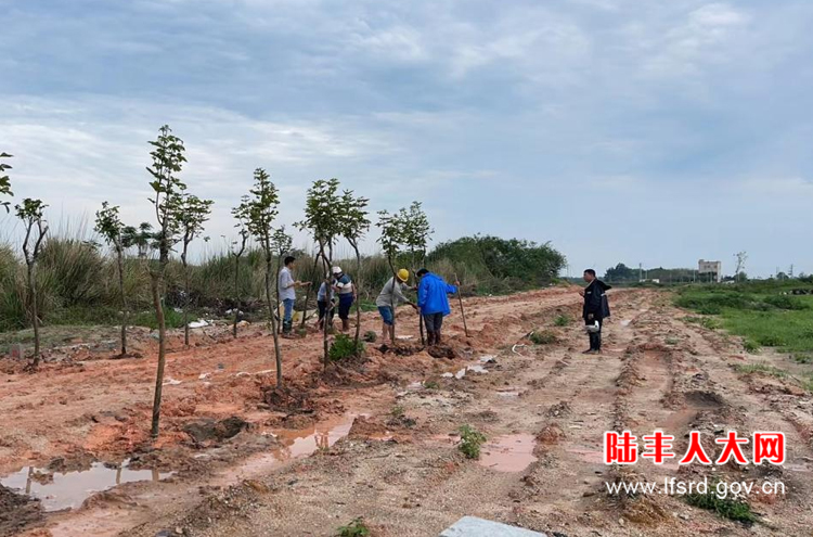 湖东竹湖2024五月活动1