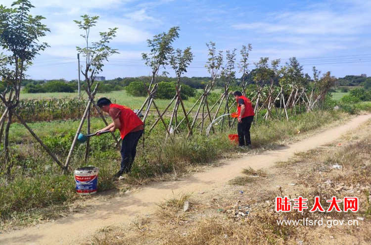 湖东竹湖202十月活动2