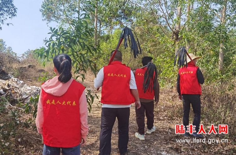 湖东樟田2024四月活动1