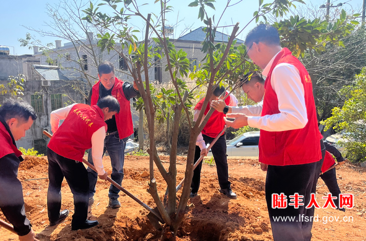 陂洋2026三月活动2